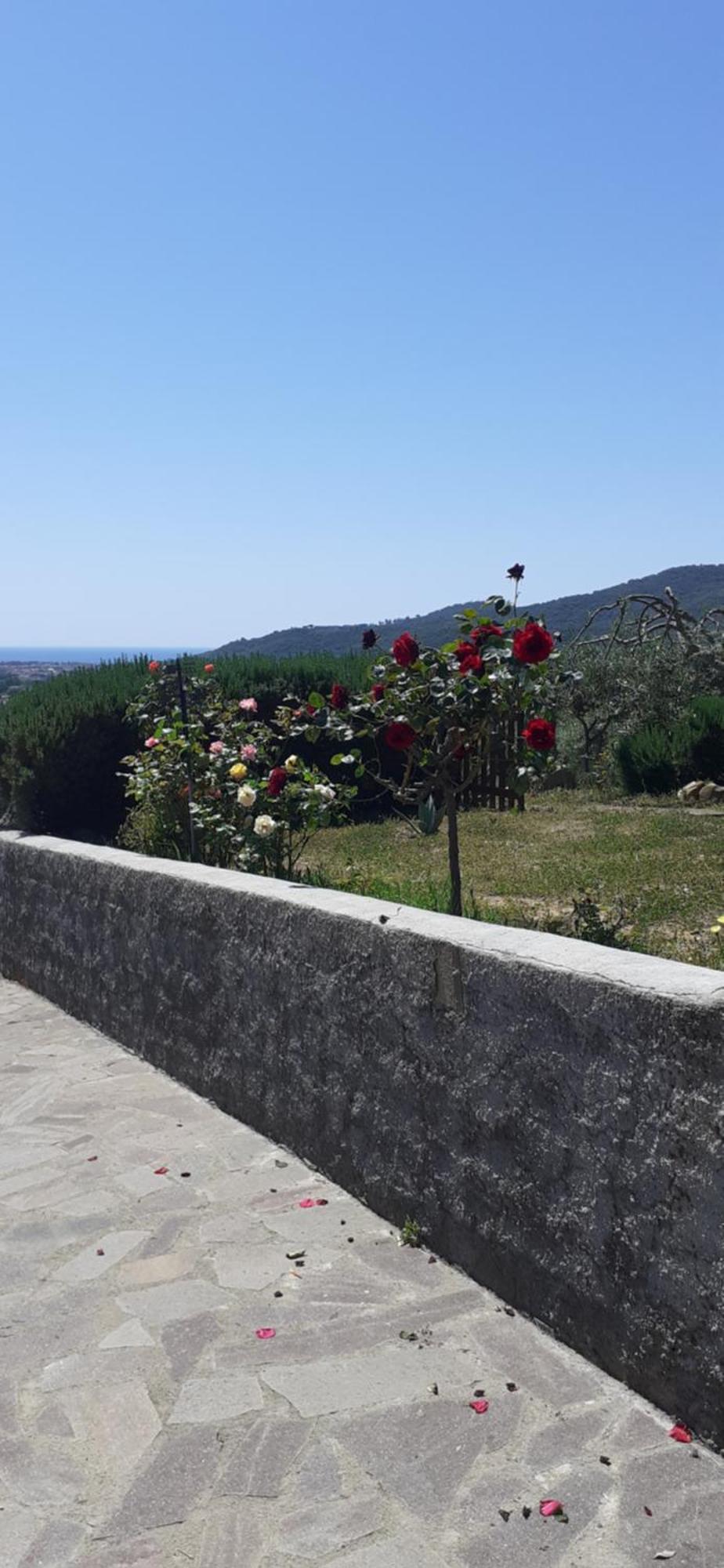 Bellavista Prile Bed & Breakfast Кастильоне дела Пеская Стая снимка
